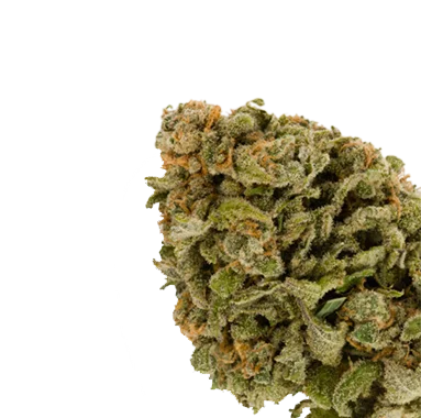 Strain Hybrid Cannabis flower